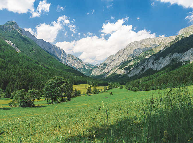Wildalpen-Ausblick-Landschaft_337x250px tafel