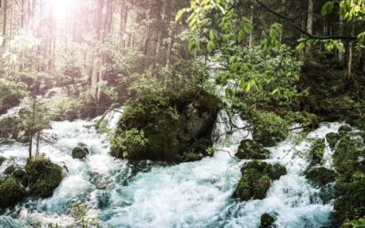Gezondste drankje ter wereld is…. water!